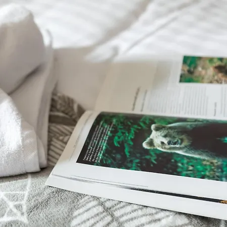 W Zakopanem Z Widokiem Na Gory By Rent Like Zakopane